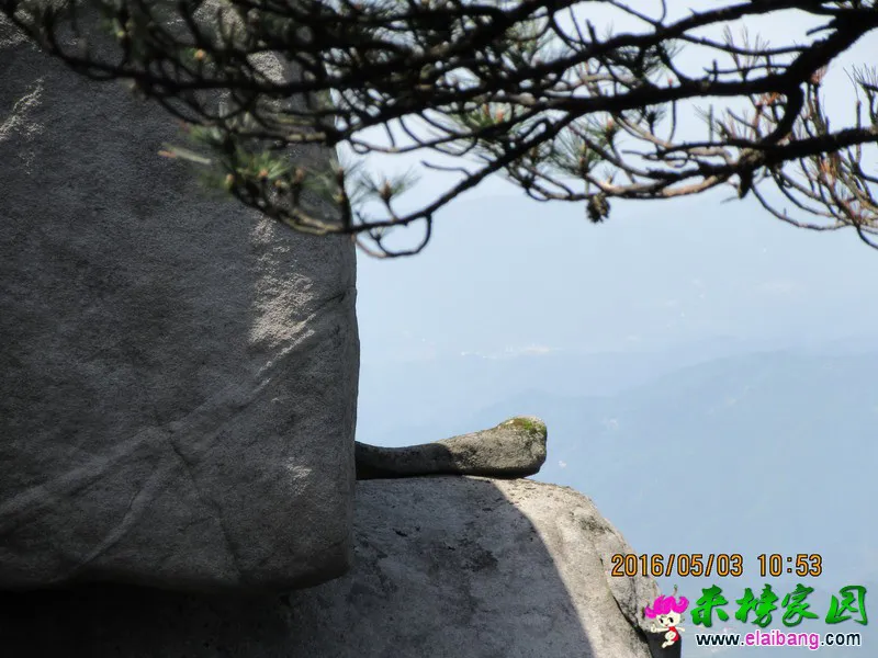 IMG_0130_调整大小.webp