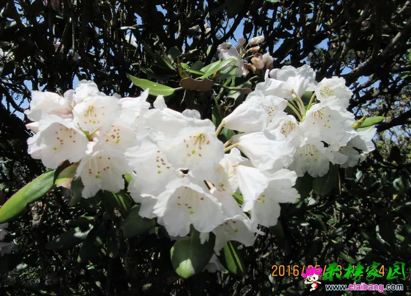IMG_0230_调整大小.webp