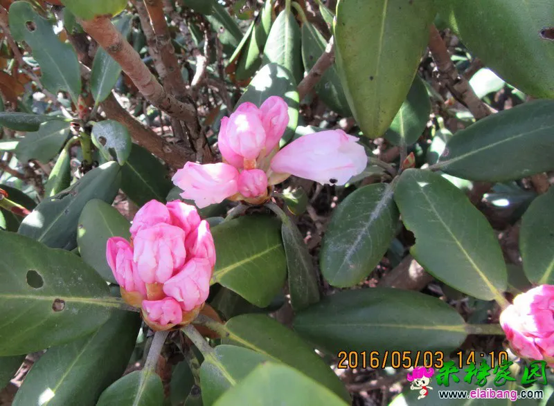 IMG_0277_调整大小.webp