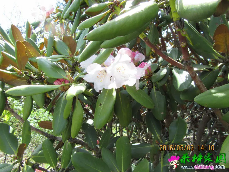 IMG_0278_调整大小.webp
