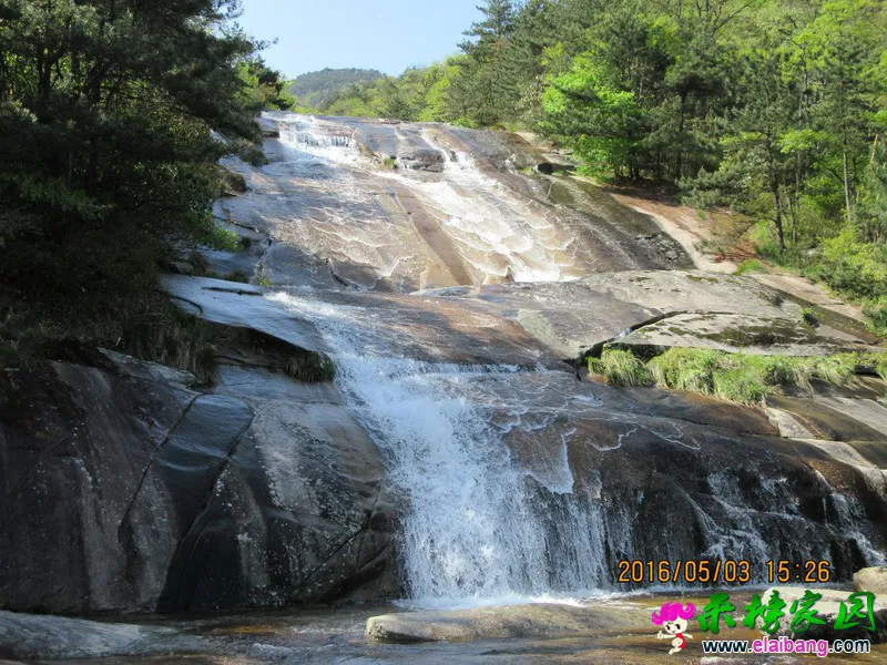 IMG_0348_调整大小.webp