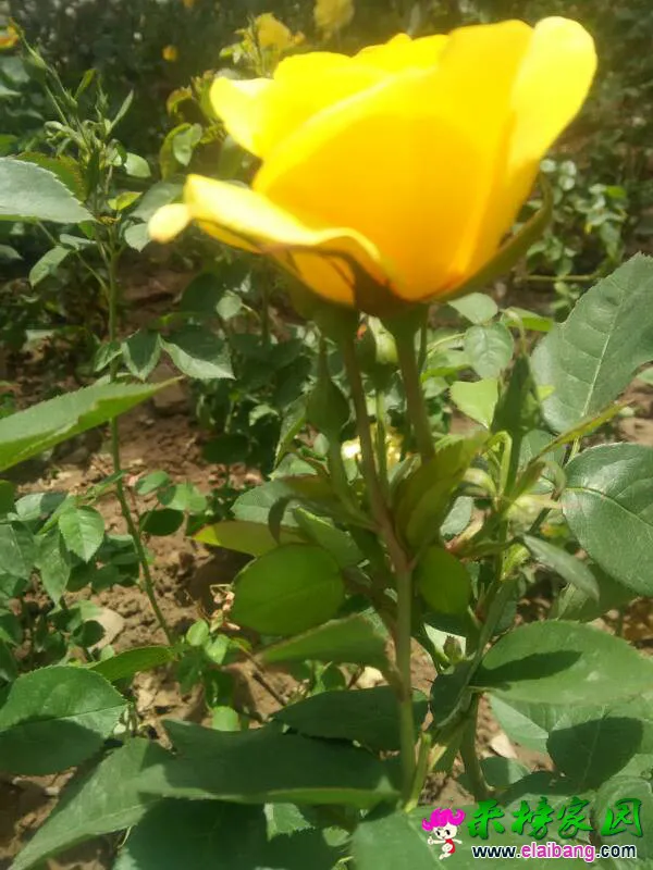 082343h2iw5rg52gwi19up.webp