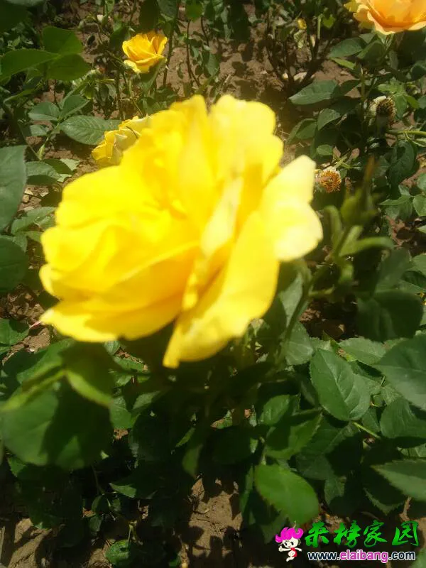 082343inn88hzu00urvd3z.webp