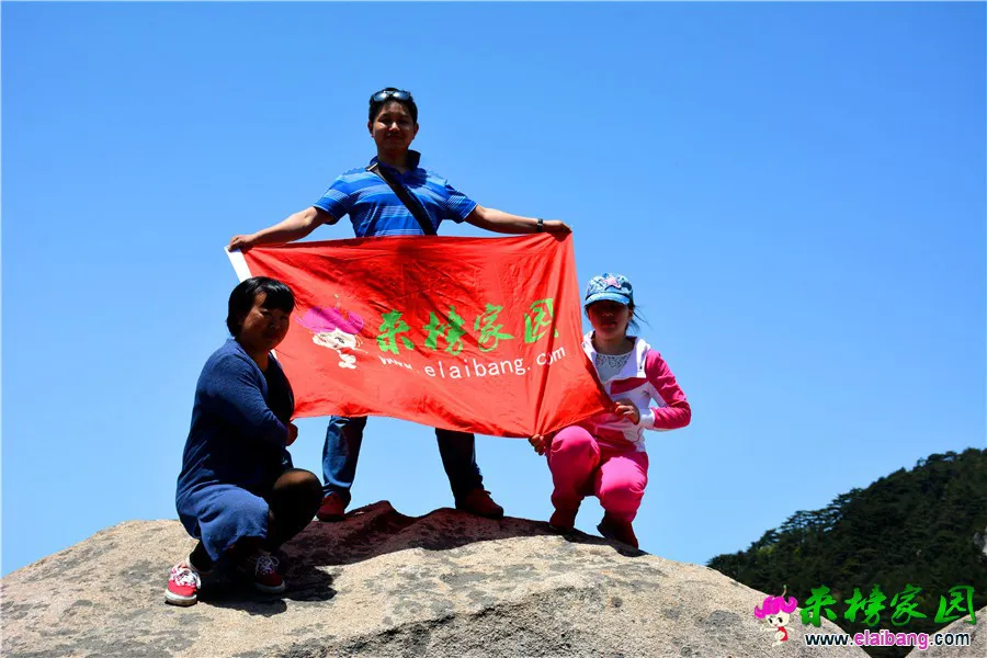 DSC_2253.webp
