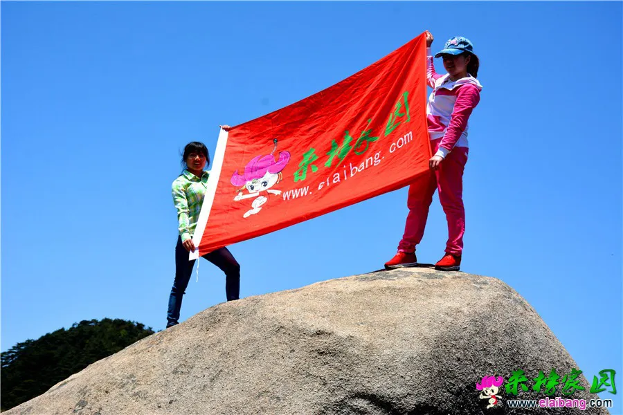 DSC_2248.webp