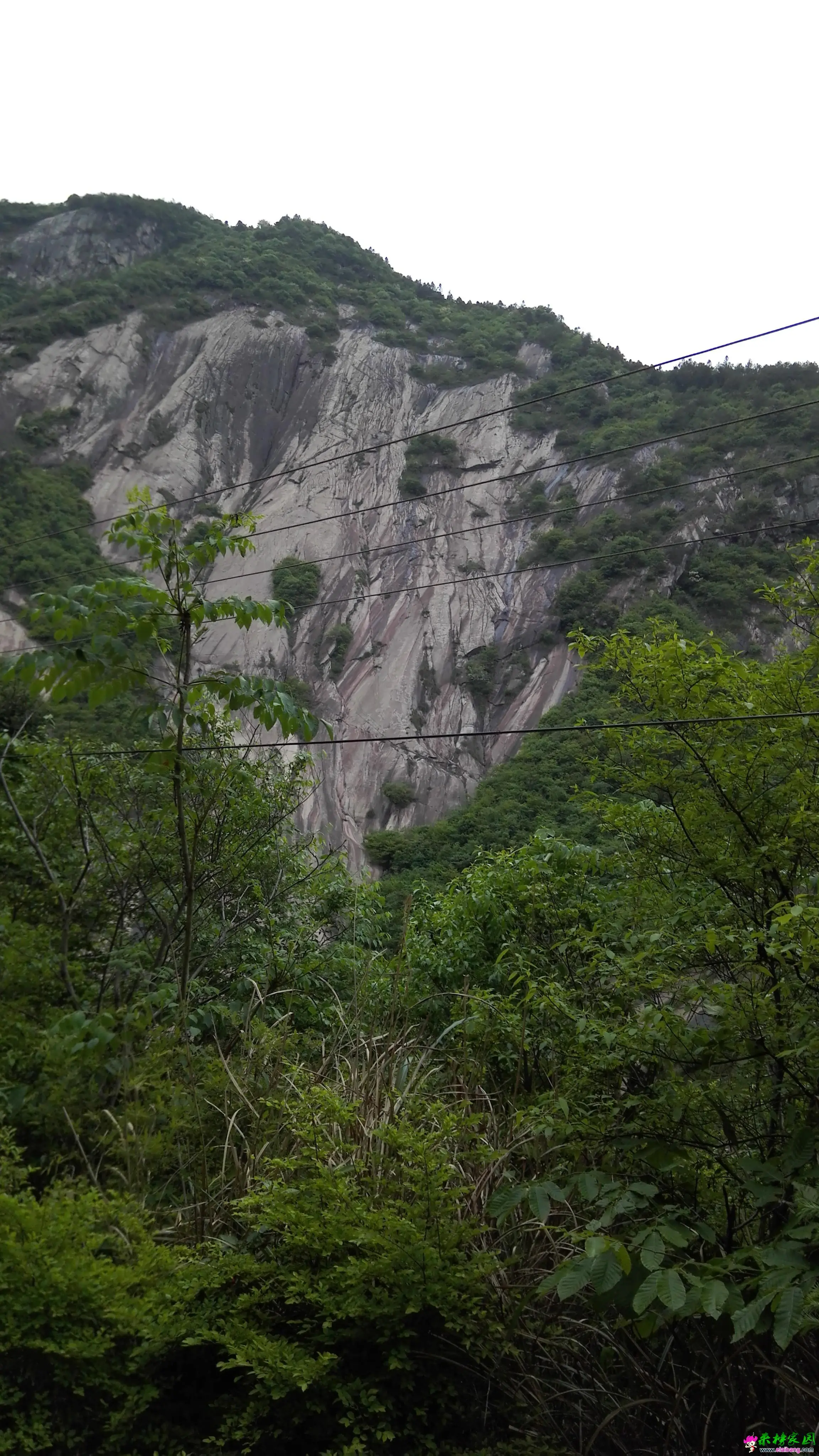 IMG_20160504_153843.webp