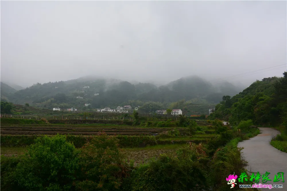 DSC_2339.webp