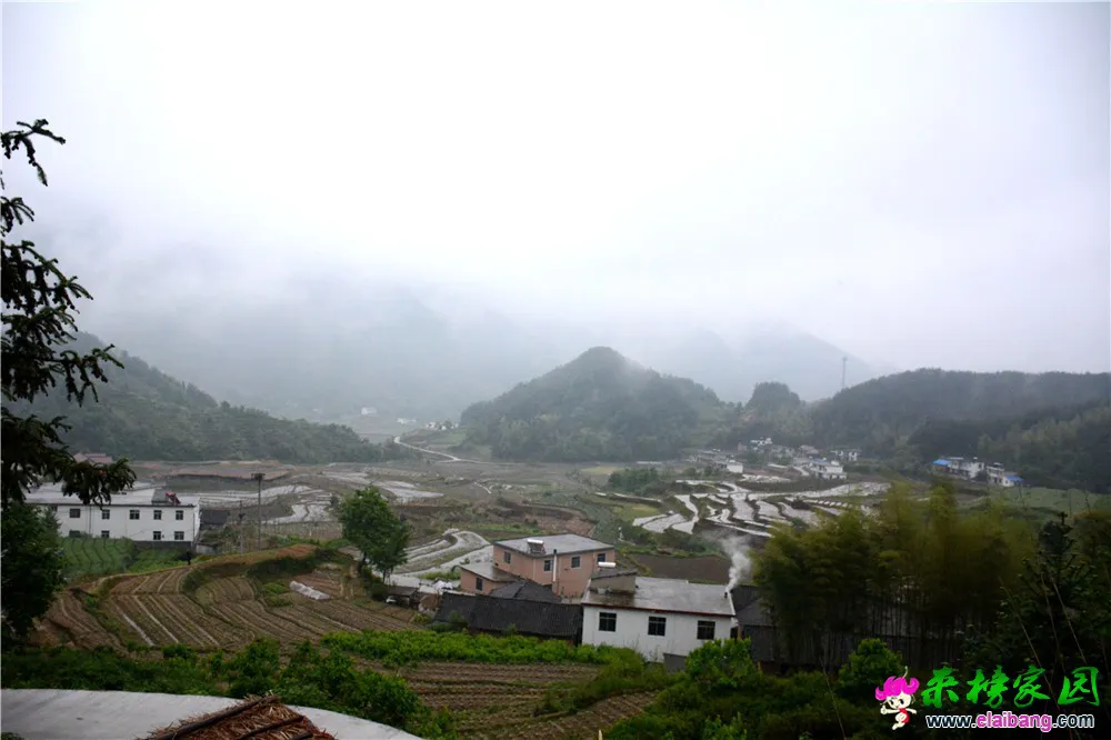 DSC_2342.webp