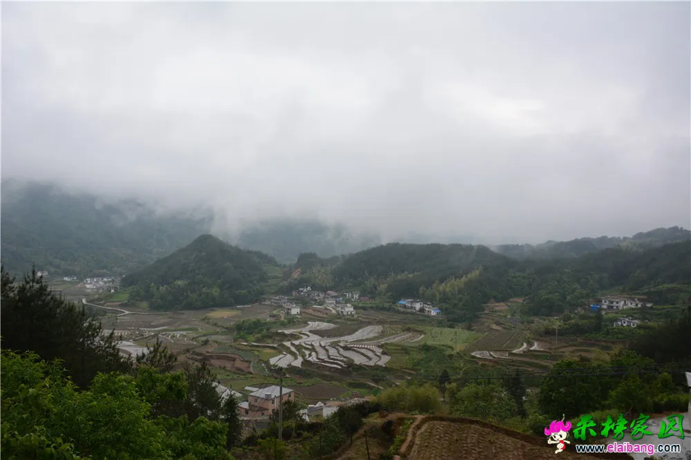 DSC_2351.webp