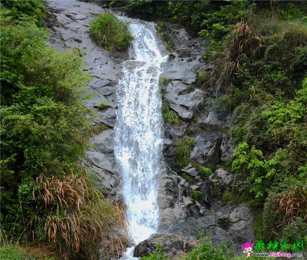 DSC_2334.webp