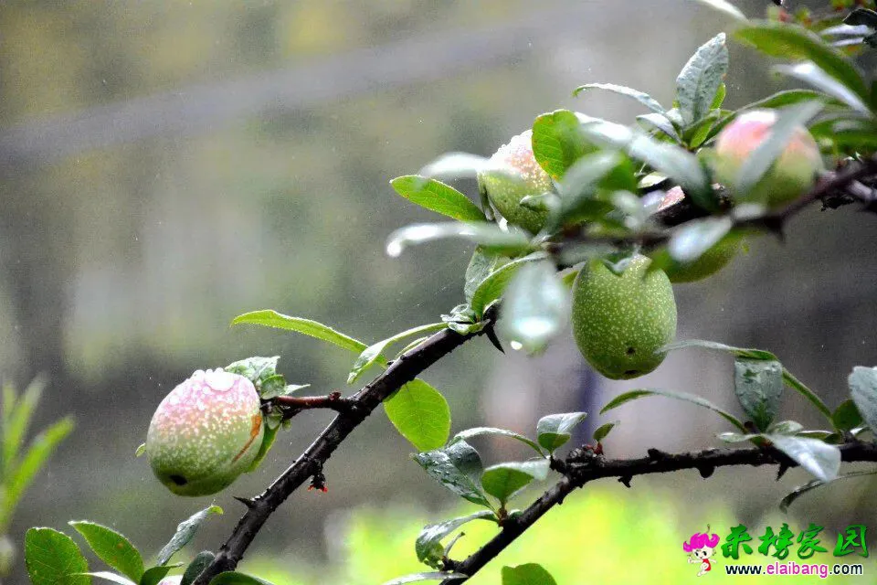 QQ图片20160509210127.webp