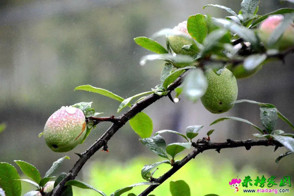 QQ图片20160509210131.webp