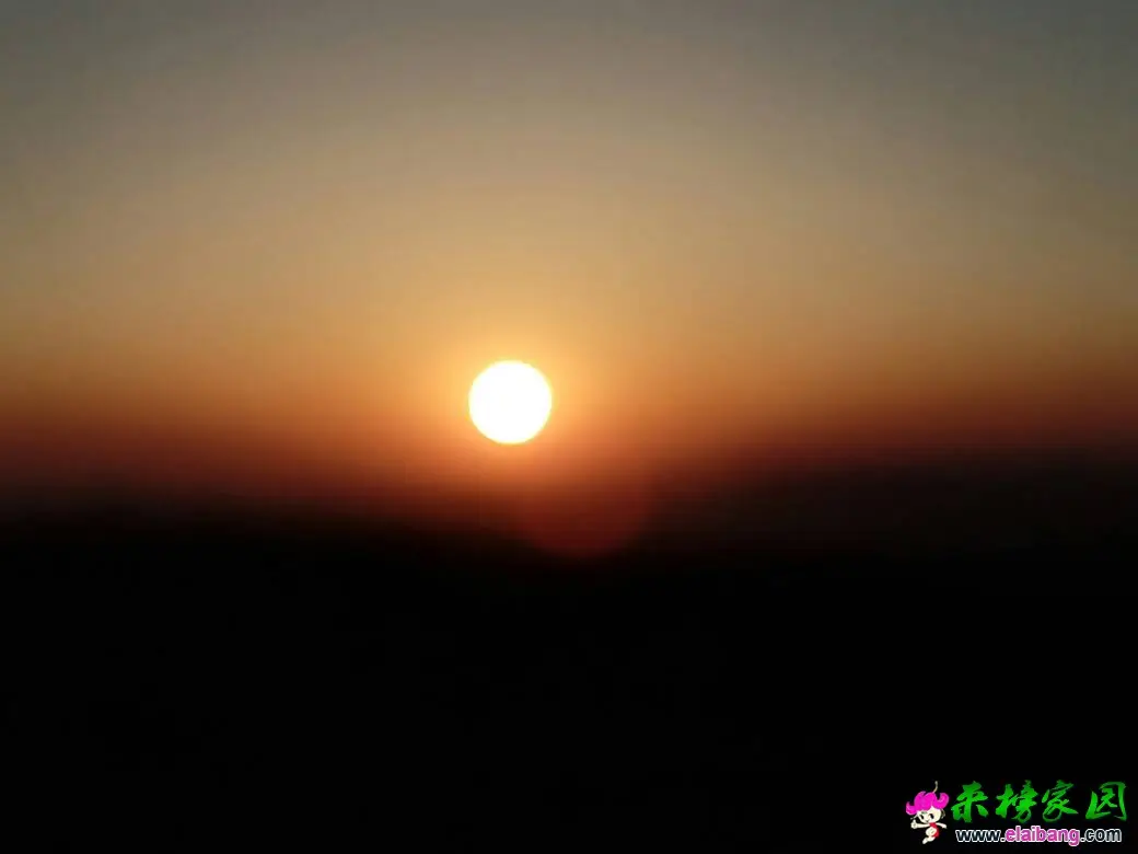 052951zft5oxxoylzezzg4.webp