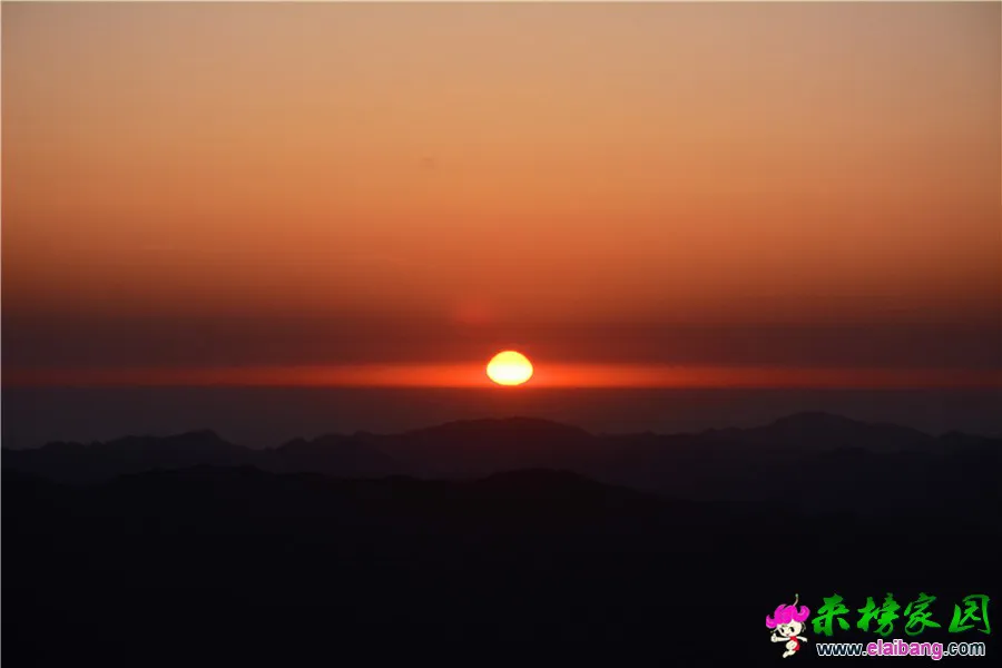 DSC_2399.webp