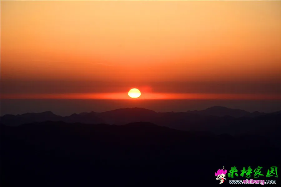 DSC_2402.webp