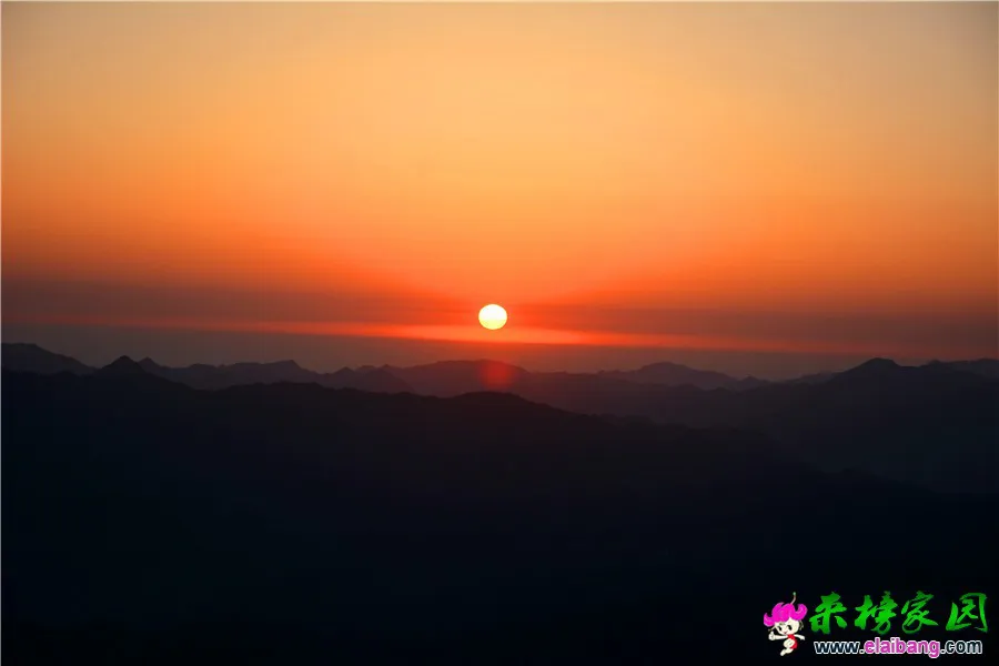 DSC_2408.webp