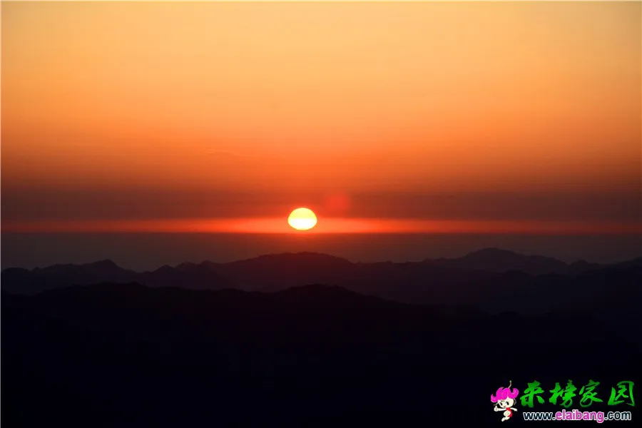 DSC_2403.webp