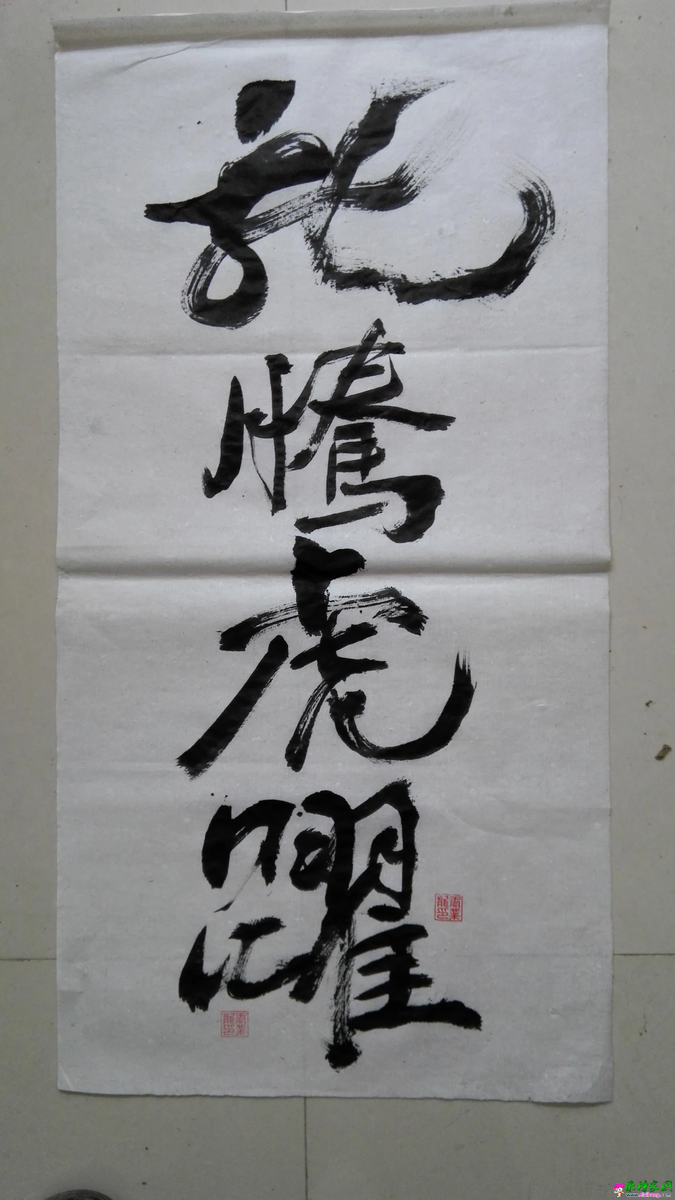 龙腾虎跃 