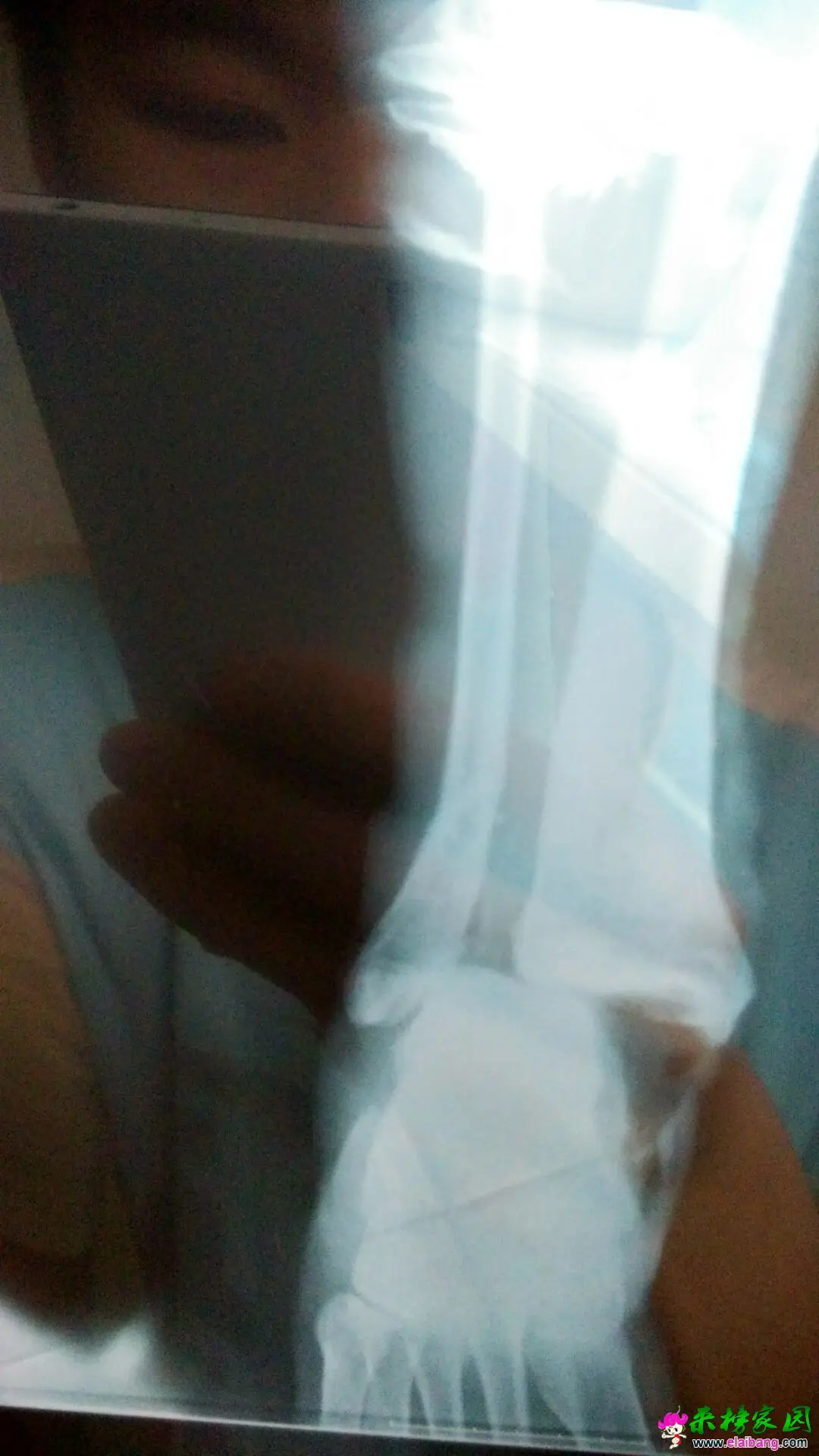 QQ图片20160514203739.webp