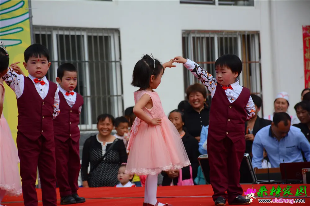 DSC_2508.webp