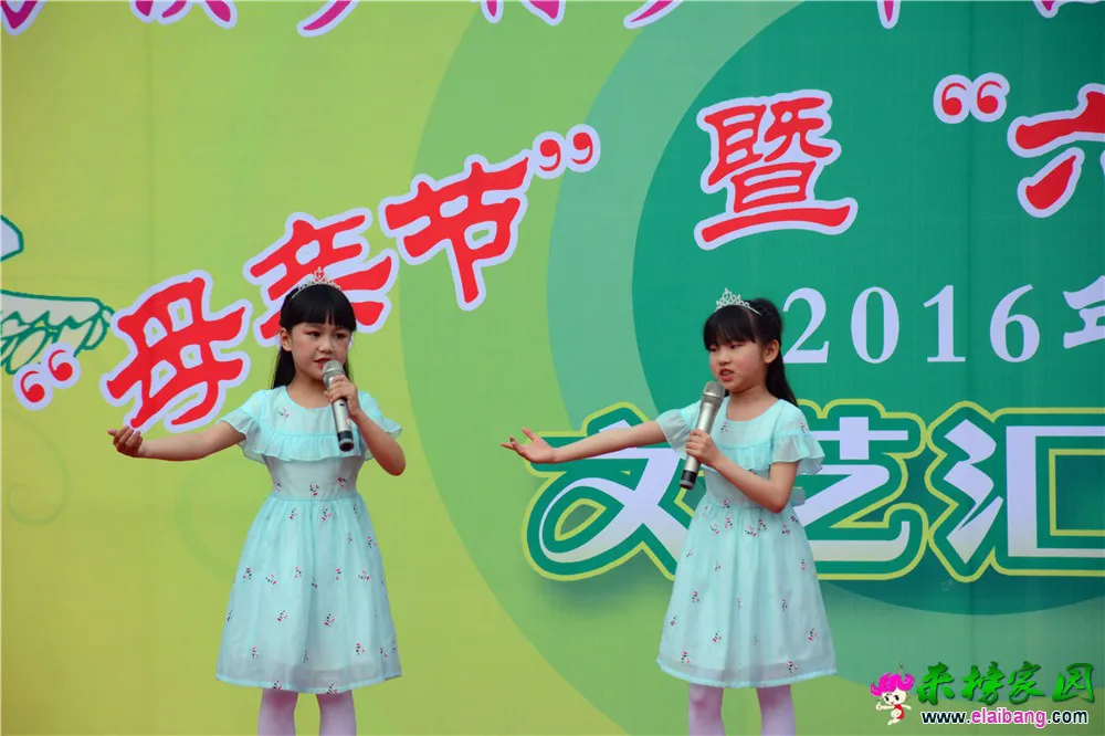 DSC_2524.webp