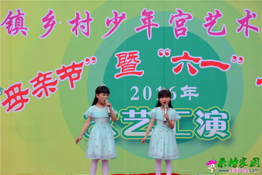 DSC_2528.webp