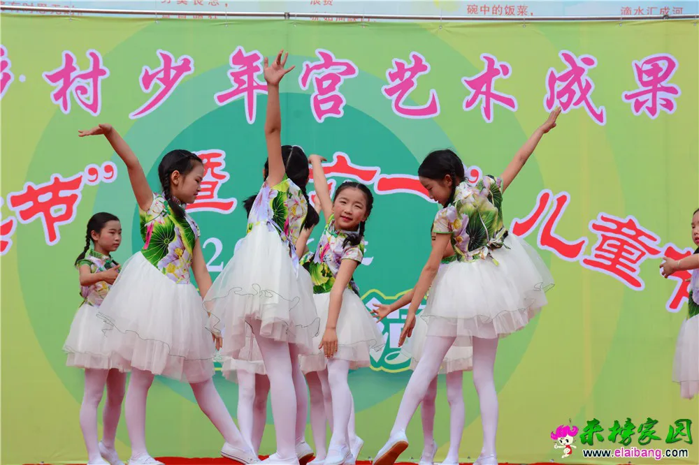 DSC_2536.webp