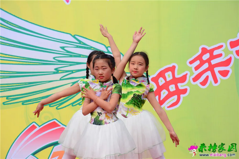 DSC_2540.webp