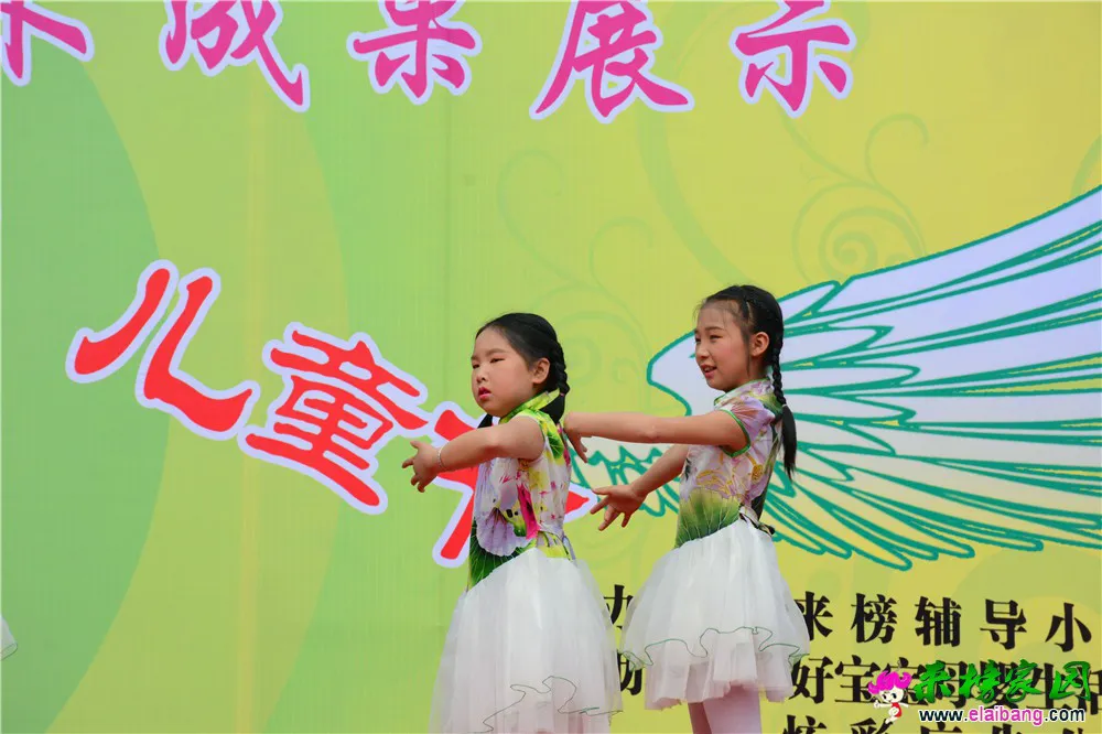 DSC_2539.webp