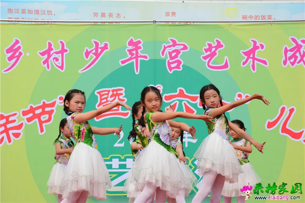 DSC_2549.webp
