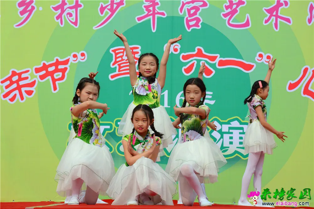 DSC_2553.webp