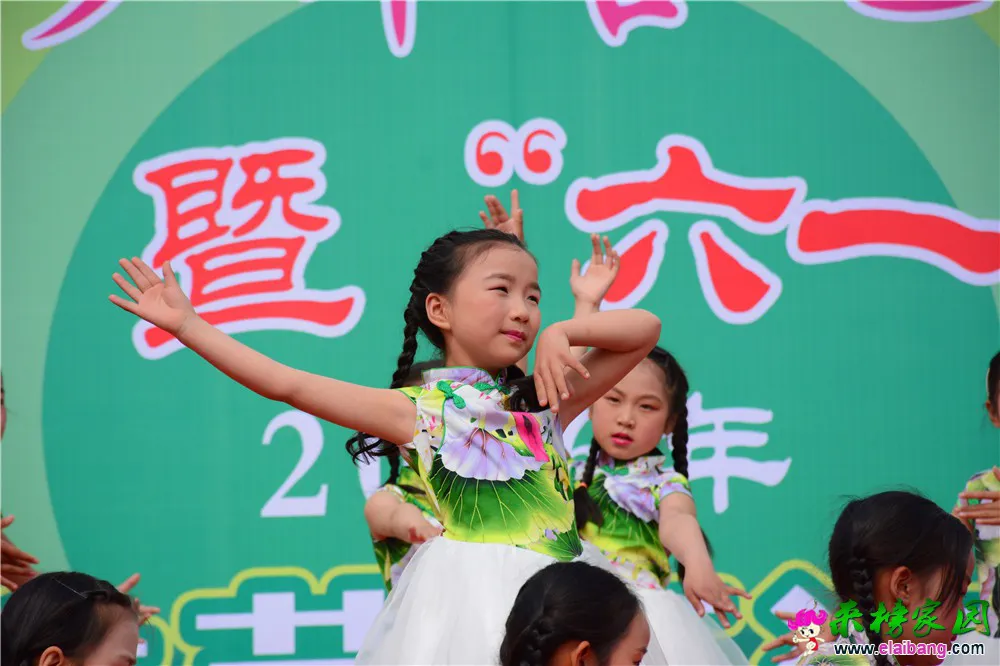 DSC_2545.webp