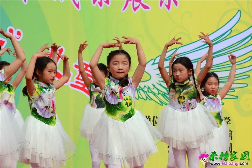 DSC_2559.webp