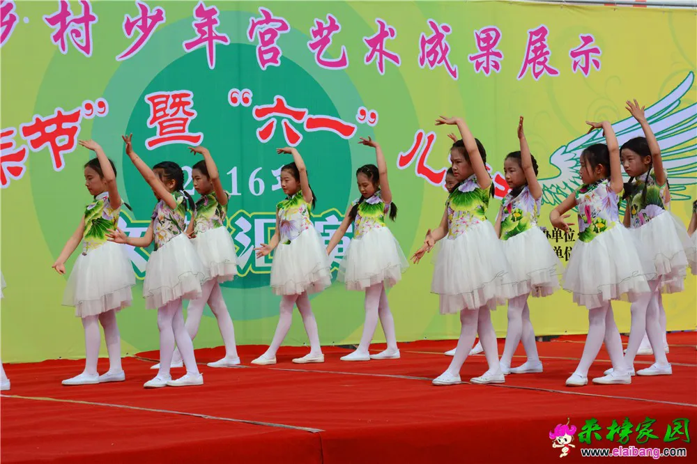 DSC_2555.webp