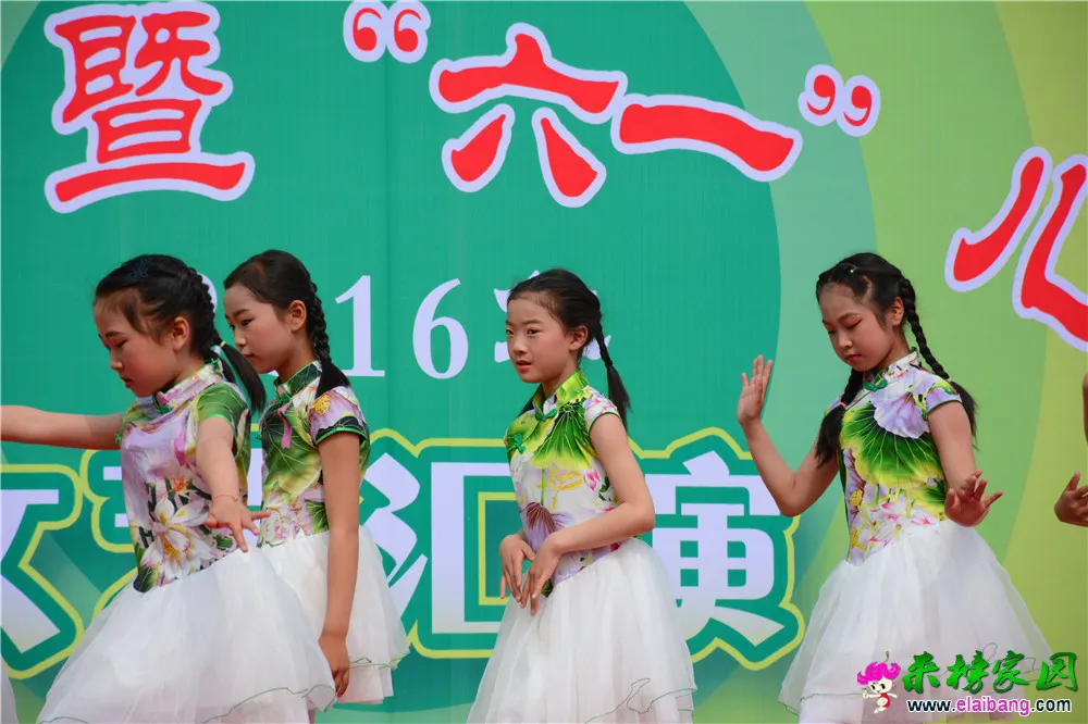 DSC_2556.webp
