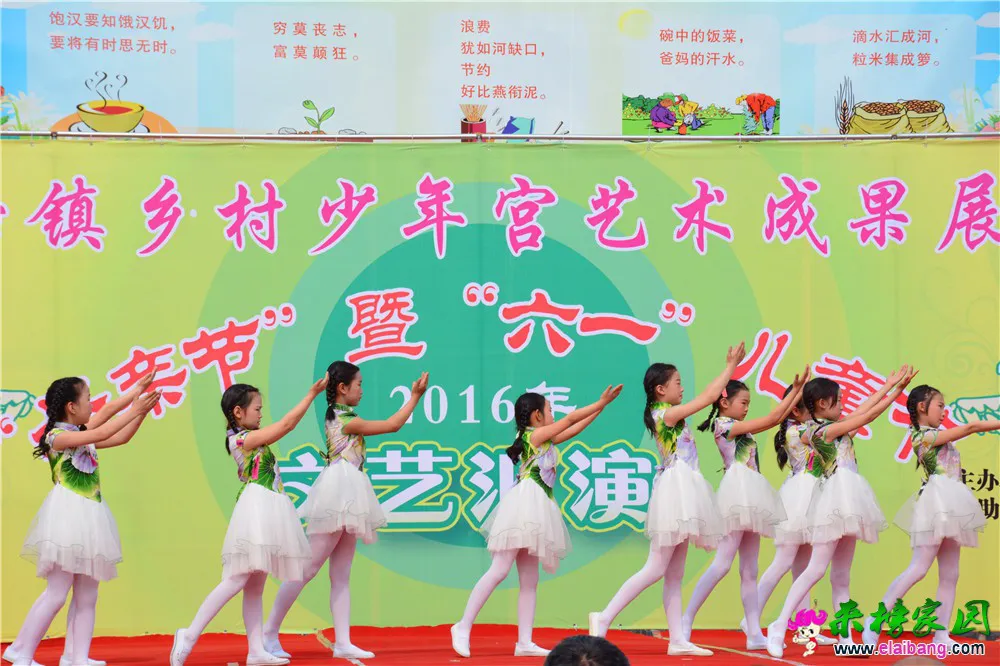 DSC_2564.webp