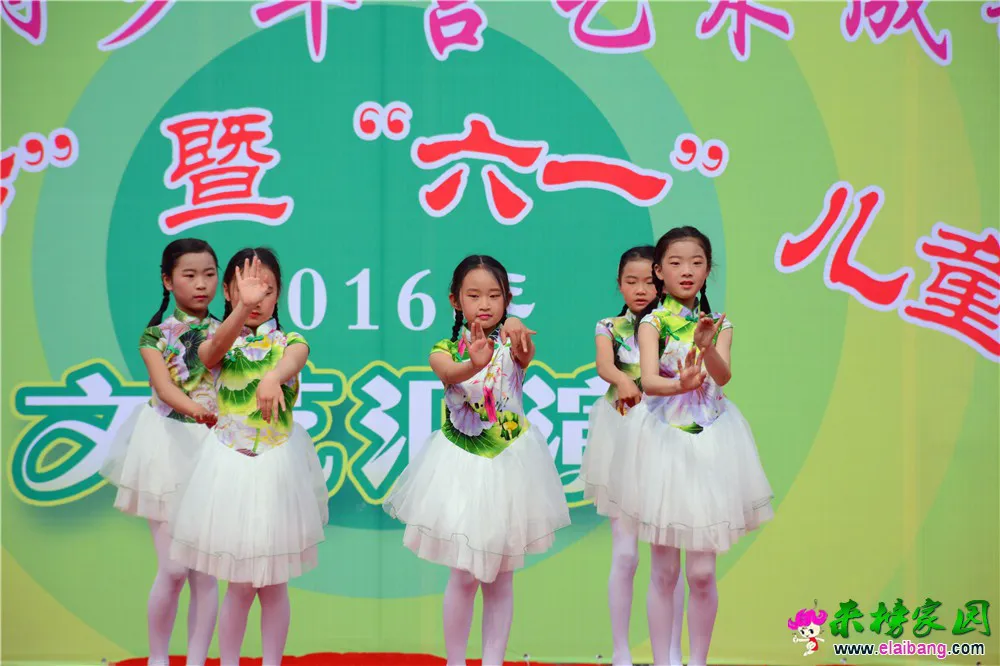DSC_2565.webp