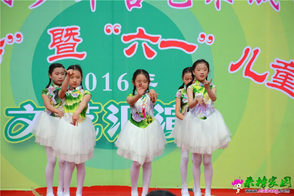 DSC_2567.webp