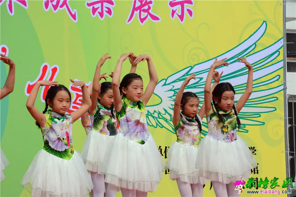 DSC_2562.webp