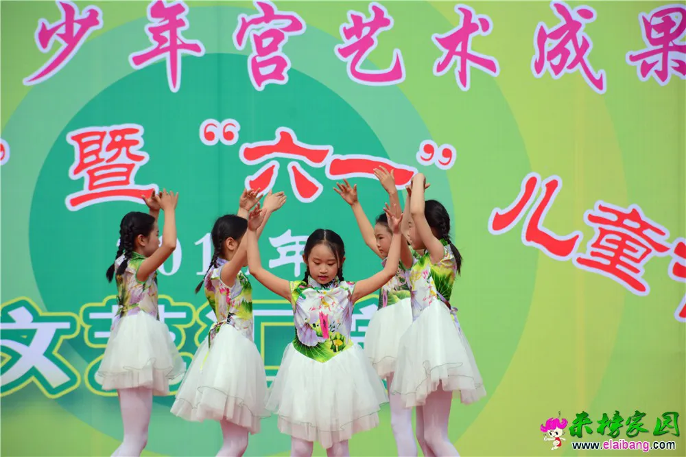 DSC_2569.webp
