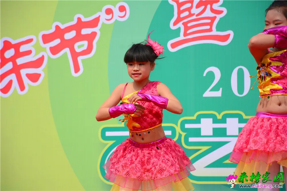 DSC_2711.webp