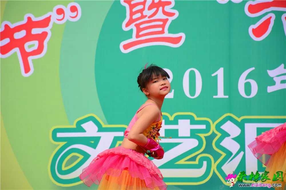 DSC_2724.webp
