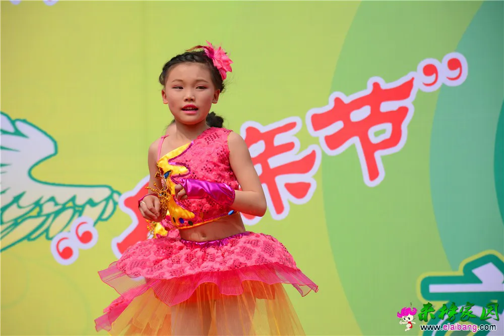 DSC_2721.webp