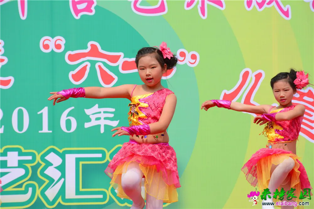 DSC_2727.webp