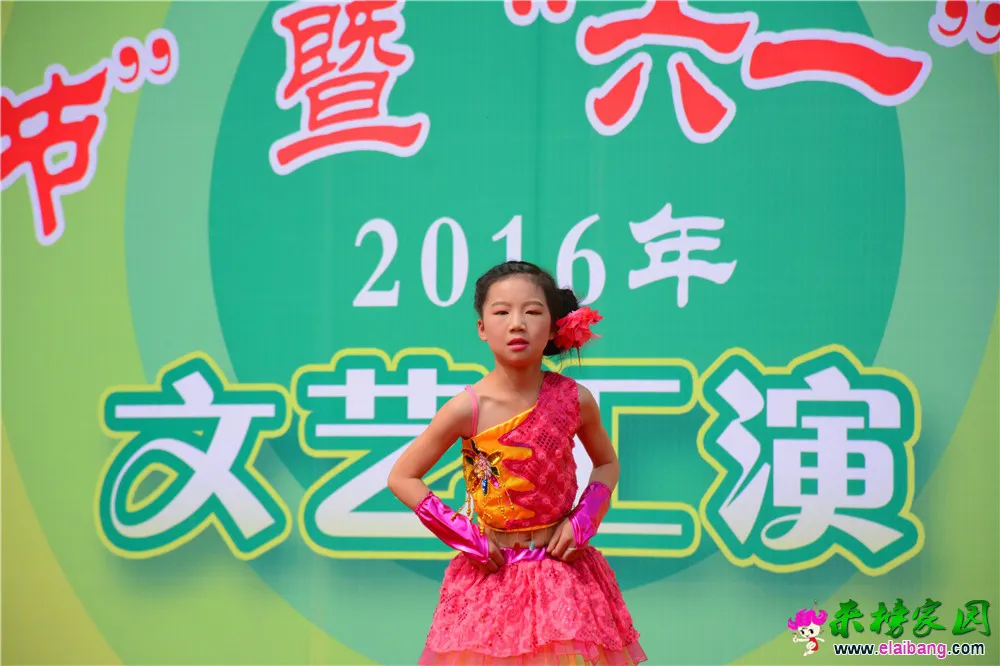 DSC_2733.webp