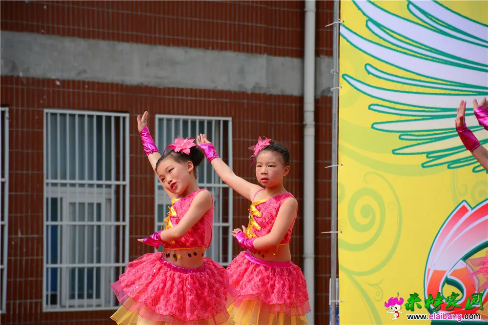 DSC_2737.webp