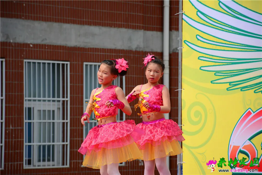 DSC_2738.webp