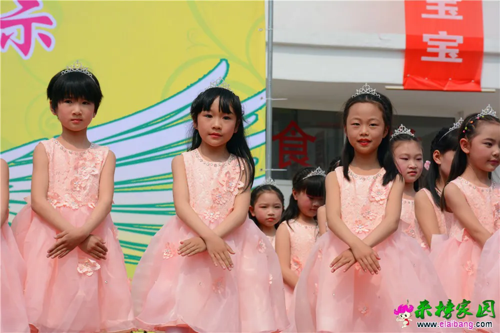 DSC_2952.webp