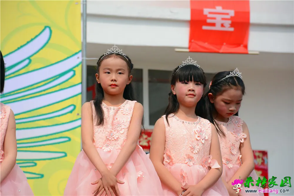 DSC_2958.webp