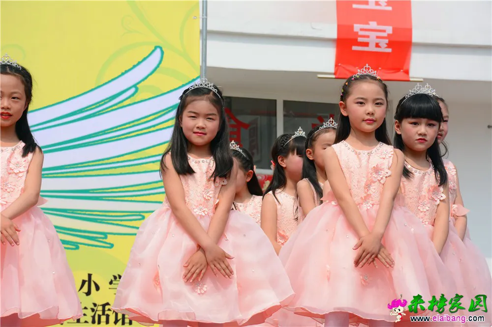 DSC_2954.webp